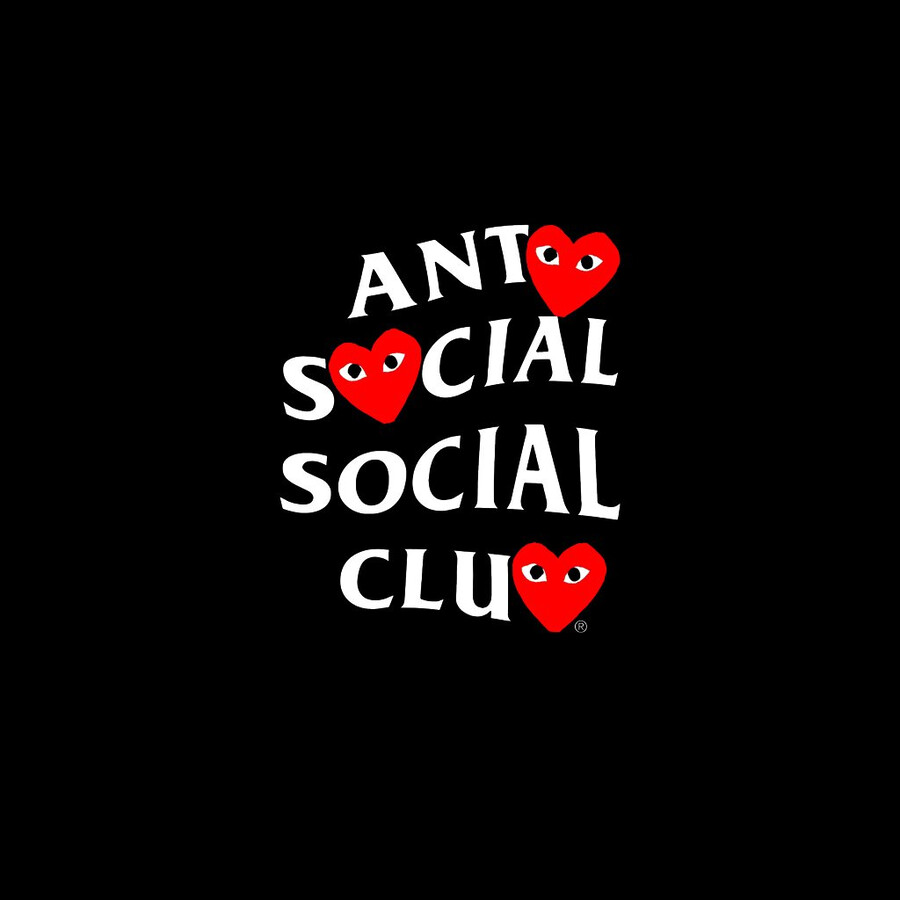assc x comme des garcons black hoodie